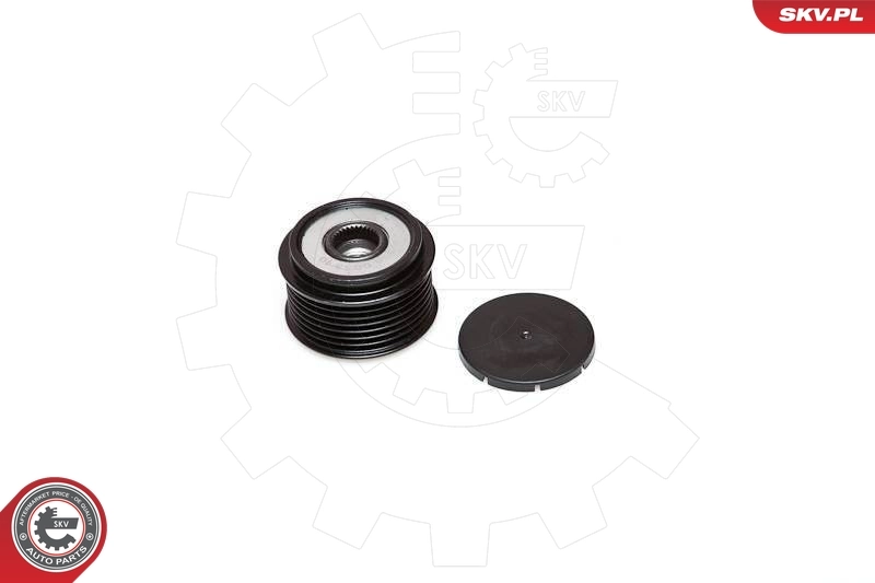 Alternator Freewheel Clutch